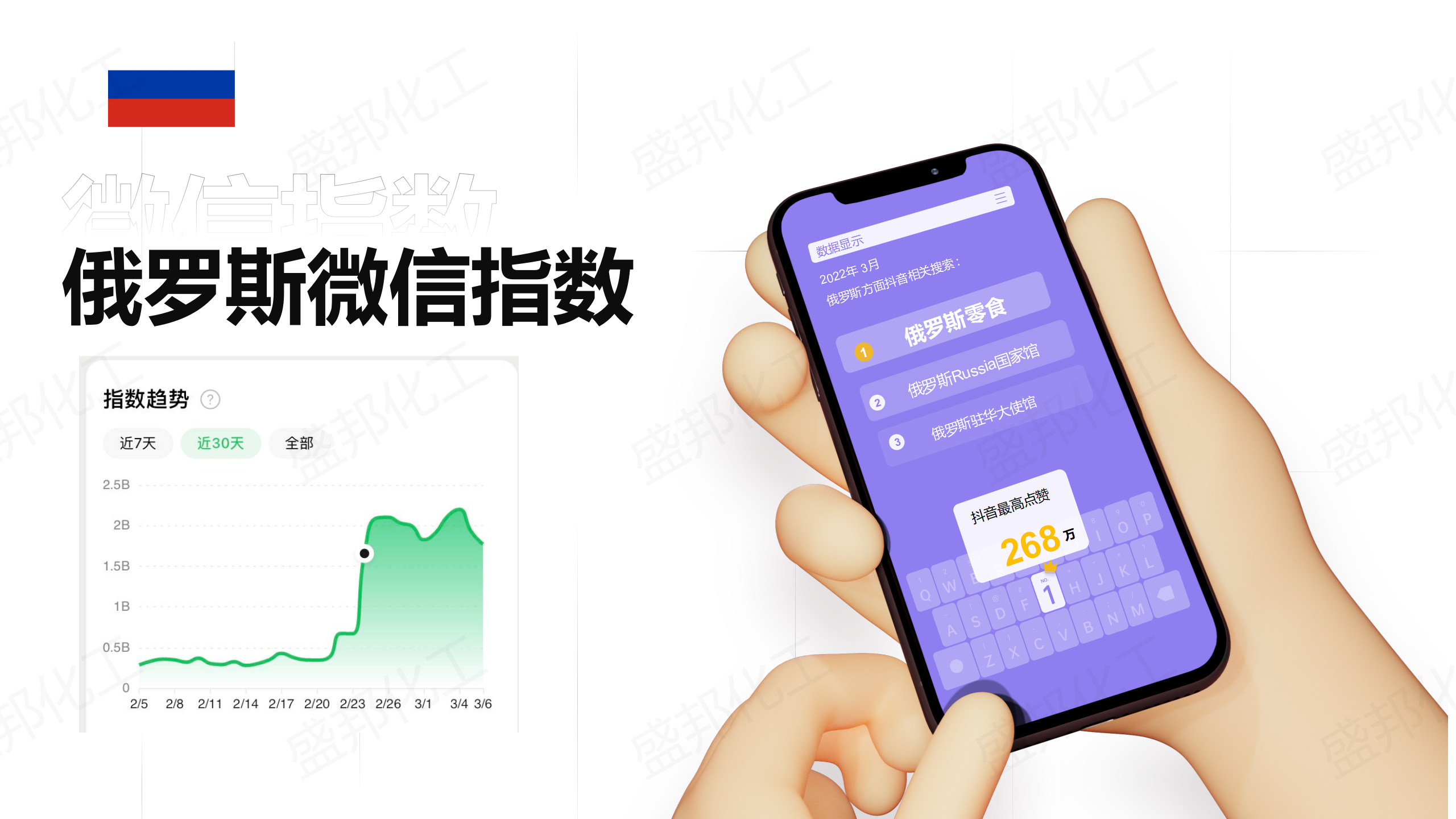 俄罗斯入口家清产品_02