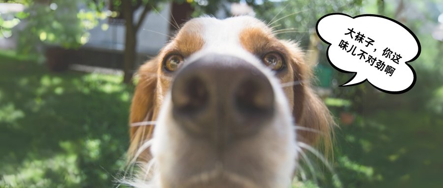 你这味儿有点差池劲。。。。？？？？？